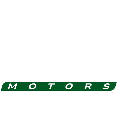 Binho Motors